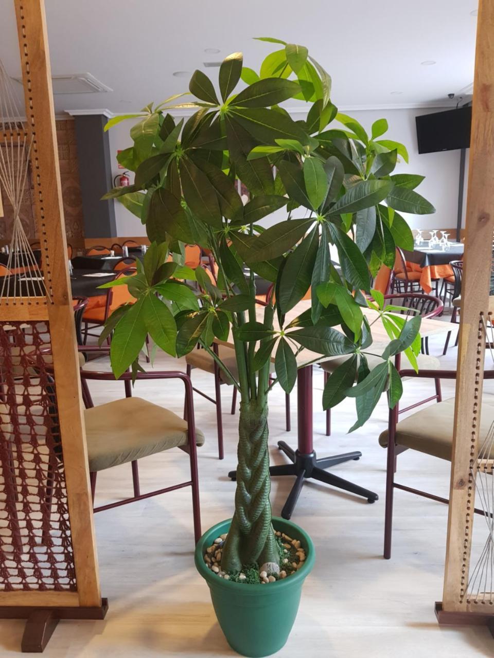 Hostal Restaurante El Abuelo Trobajo Del Camino Zewnętrze zdjęcie